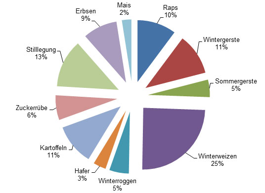 ackerbau agrar gross kiesow lehrlinge azubis traktor