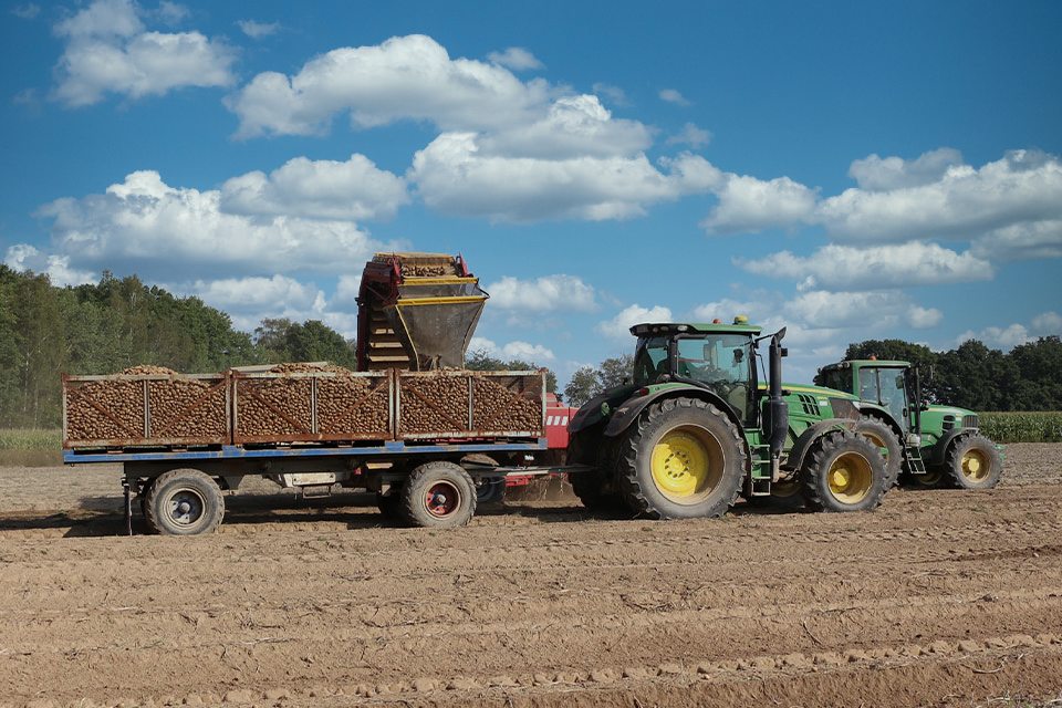 Seit-1991-führen-vier-Landwirte-gemeinsam-einen-Betrieb-in-Groß-Kiesow